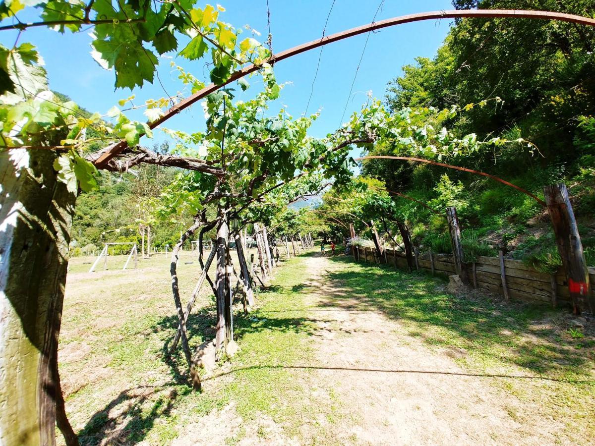 Отель Agricamping Ponteraggio N.1 Дольчеаккуа Экстерьер фото