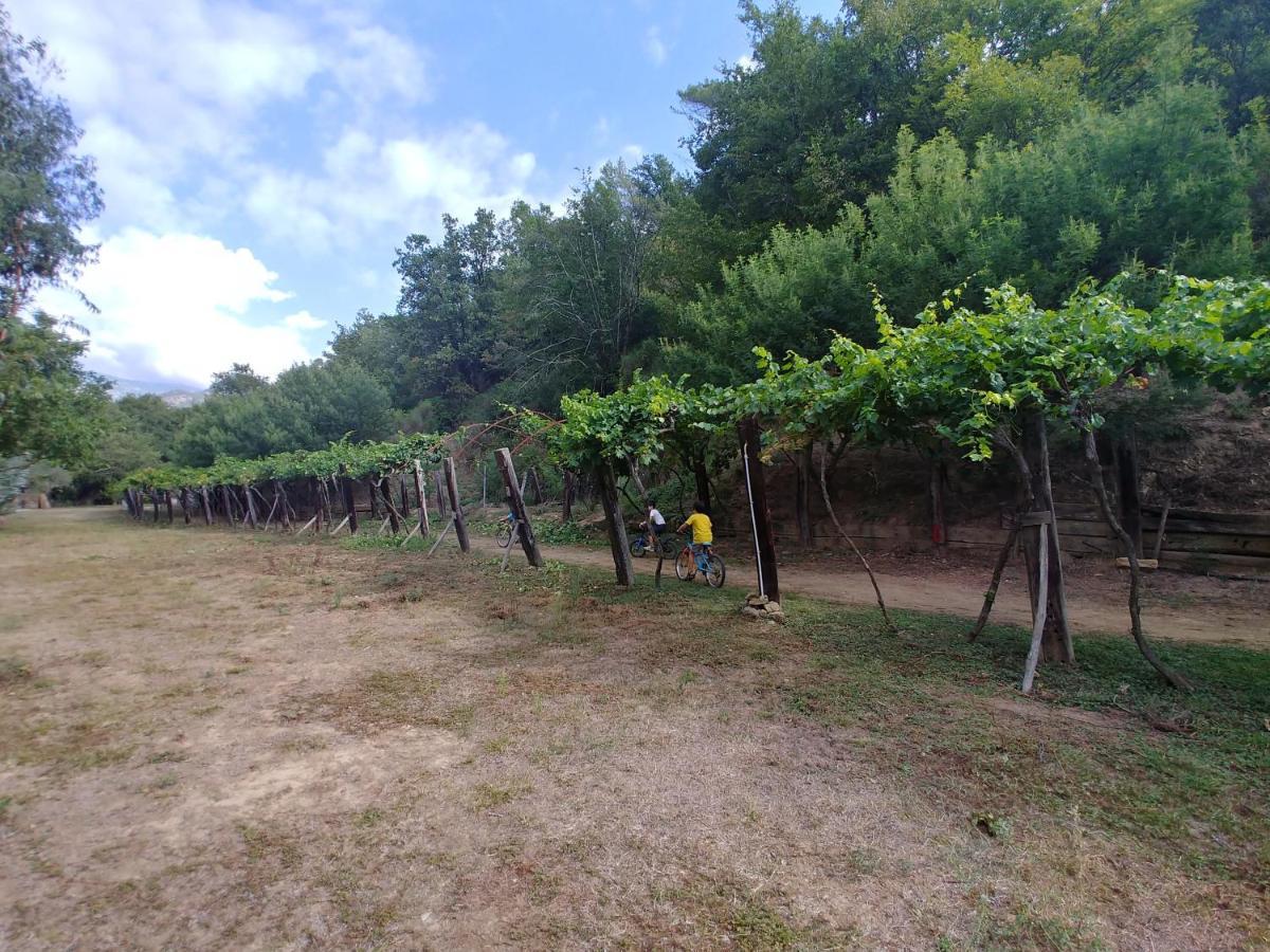 Отель Agricamping Ponteraggio N.1 Дольчеаккуа Экстерьер фото