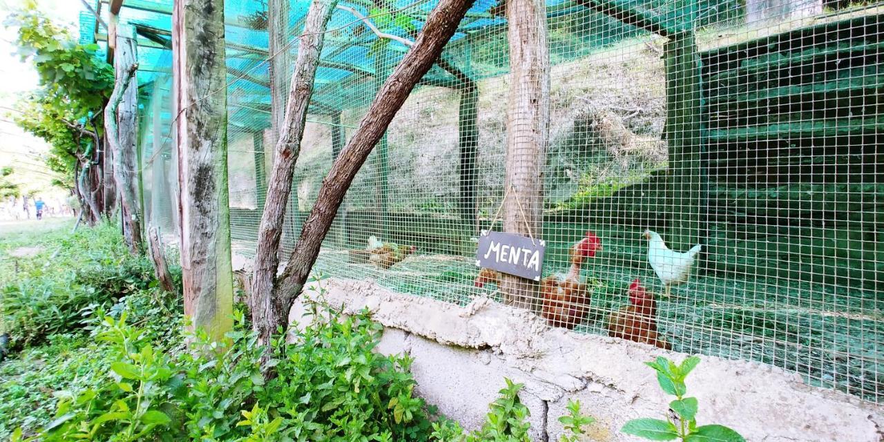Отель Agricamping Ponteraggio N.1 Дольчеаккуа Экстерьер фото
