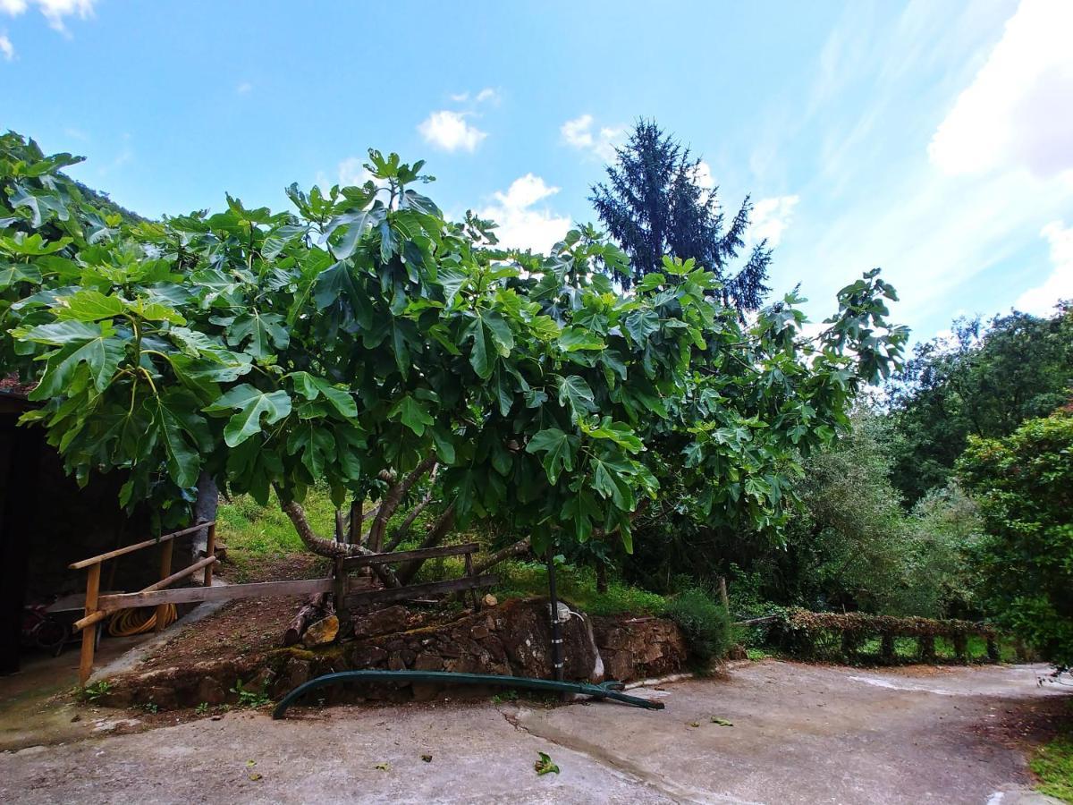 Отель Agricamping Ponteraggio N.1 Дольчеаккуа Экстерьер фото